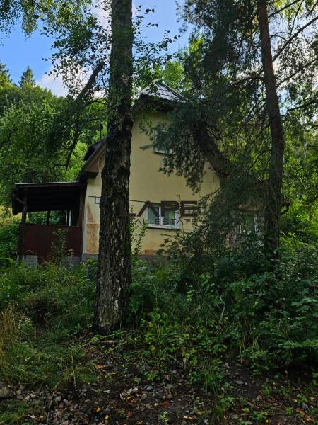 WhatsApp Image 2025-09-03 at 12.09.59.jpeg