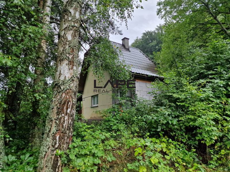 WhatsApp Image 2025-09-03 at 12.10.00 (1).jpeg