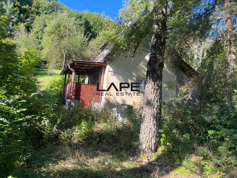 WhatsApp Image 2025-08-25 at 10.11.02.jpeg